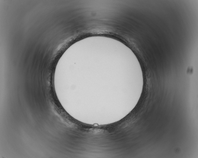 X0000110900539200907301609