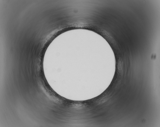 X0000110900540200907301609