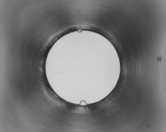 X0000110900543200907301609