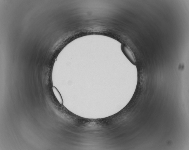 X0000110900544200907301609