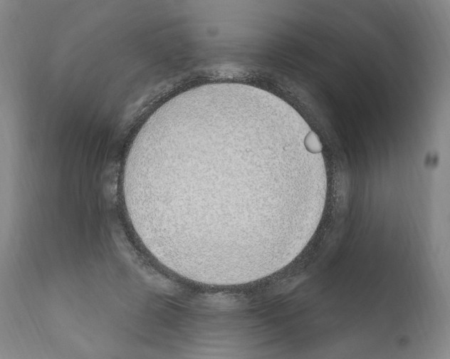 X0000110900545200907301609