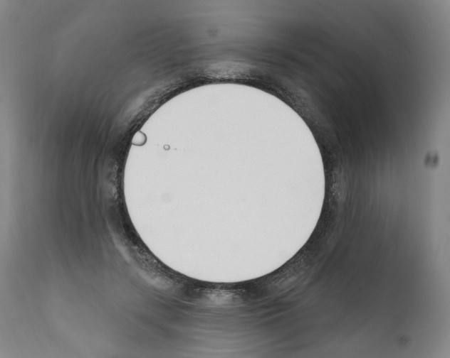 X0000110900547200907301609