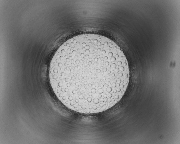 X0000110900550200907301609