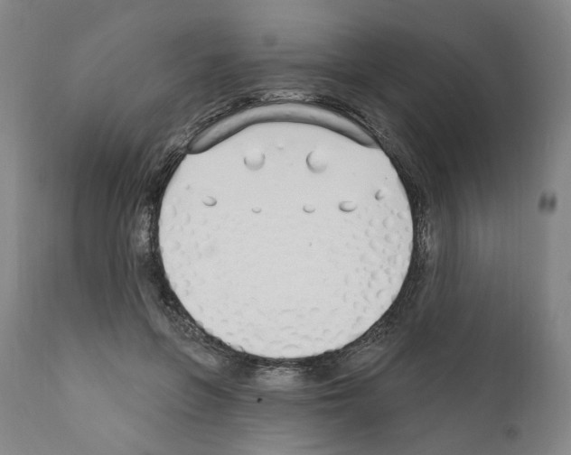 X0000110900551200907301609