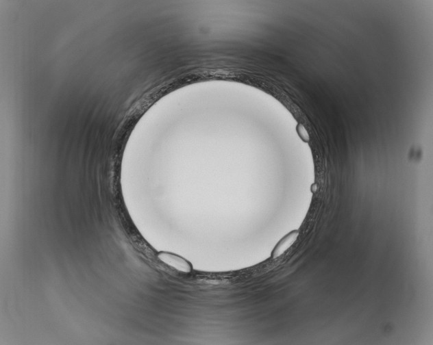 X0000110900552200907301609