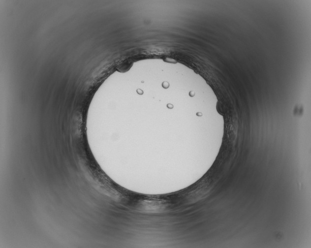 X0000110900556200907301609