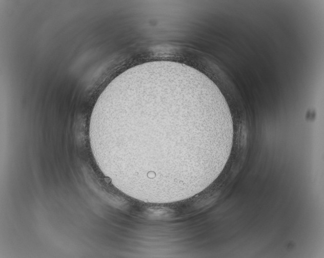 X0000110900557200907301609