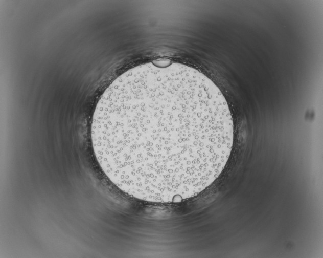 X0000110900559200907301609