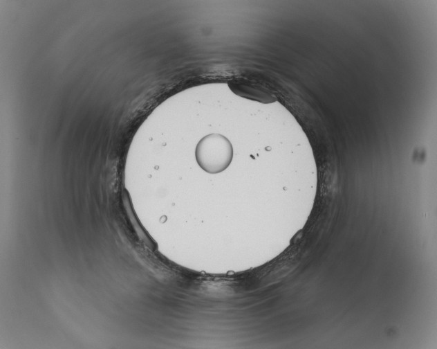 X0000110900560200907301609