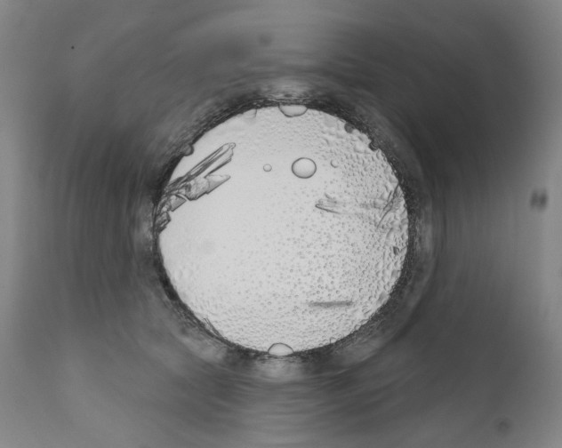 X0000110900561200907301609