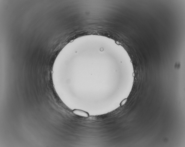 X0000110900562200907301609