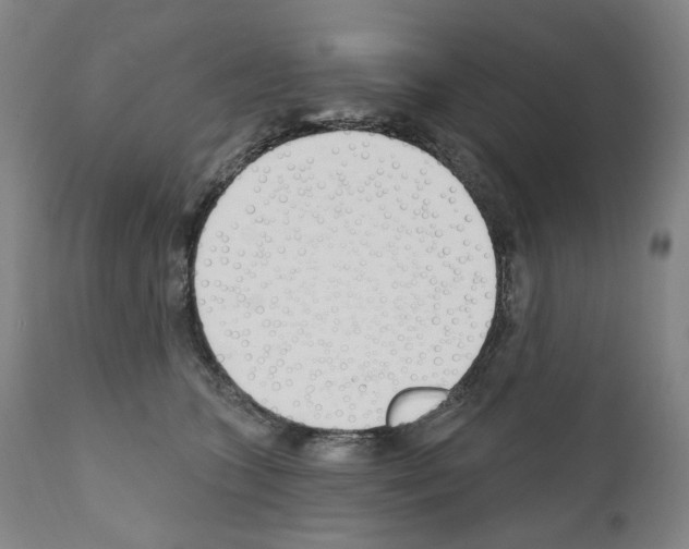 X0000110900563200907301609