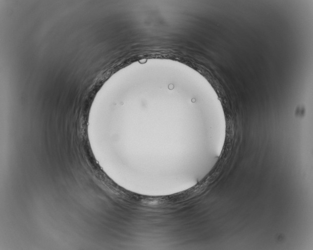 X0000110900564200907301609