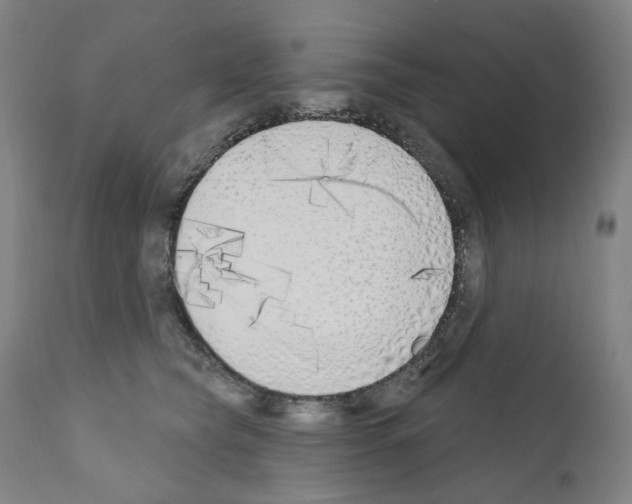 X0000110900565200907301609