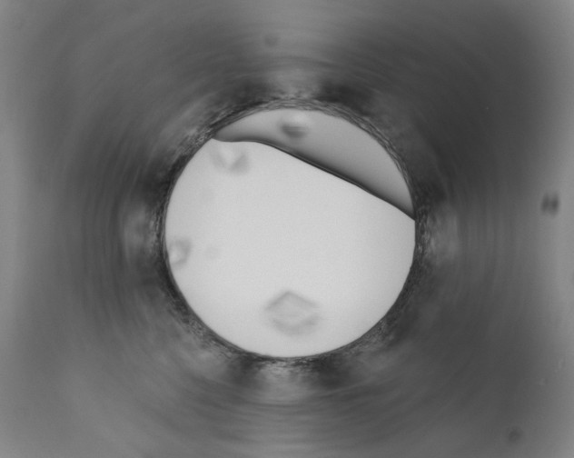 X0000110900568200907301609