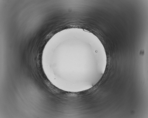 X0000110900572200907301609