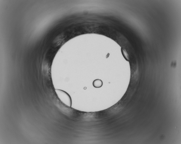 X0000110900574200907301609