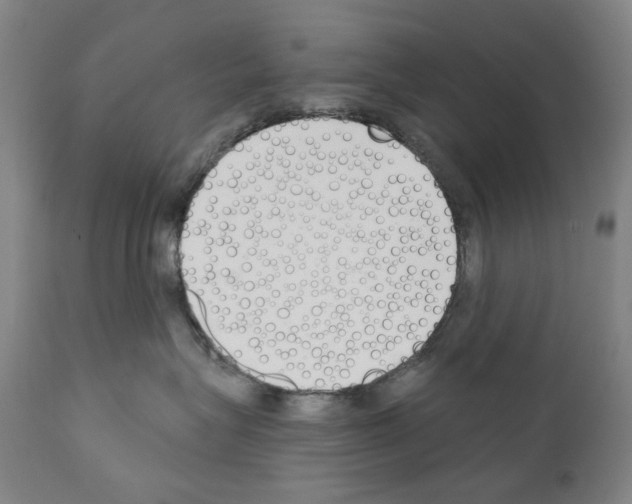 X0000110900575200907301609