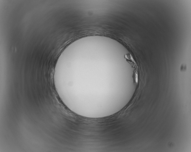 X0000110900576200907301609