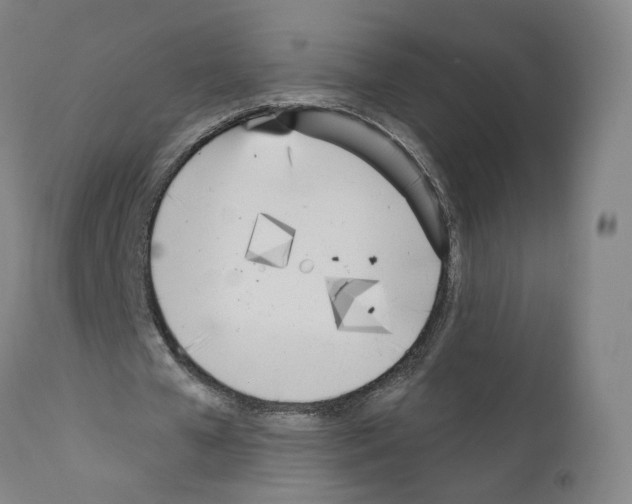 X0000110900577200907301608