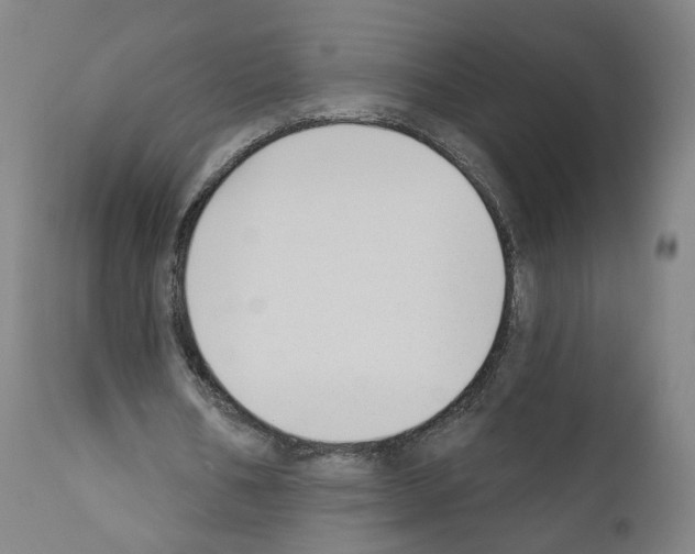 X0000110900578200907301608