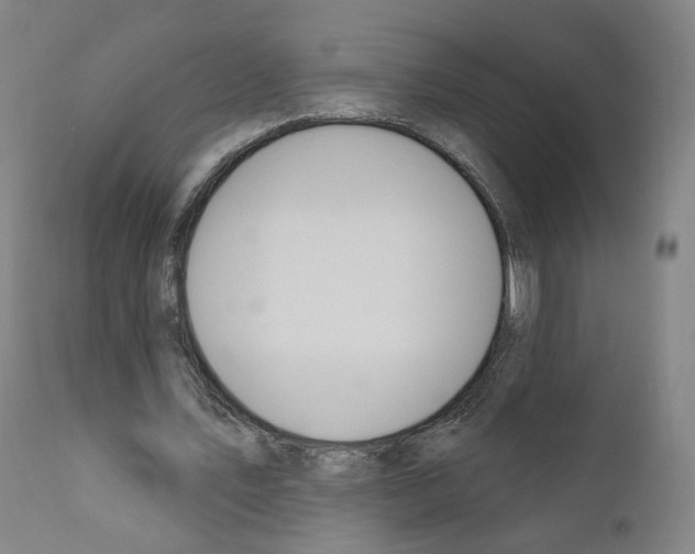 X0000110900579200907301608