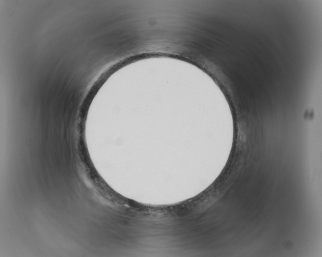 X0000110900580200907301608