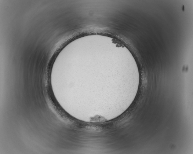 X0000110900582200907301608