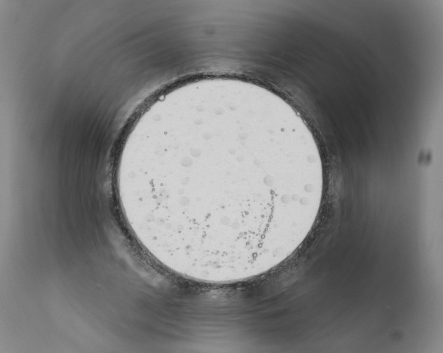 X0000110900584200907301608