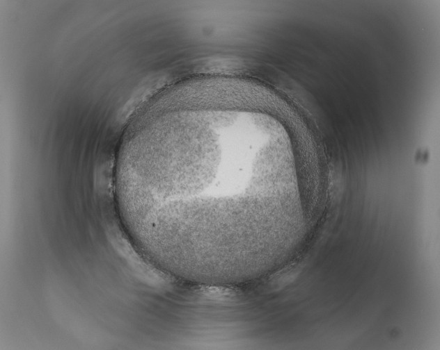 X0000110900585200907301608