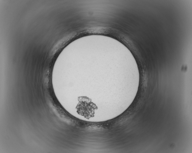 X0000110900586200907301608