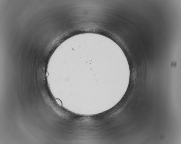 X0000110900589200907301608