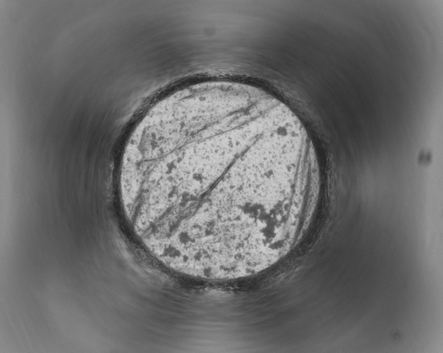 X0000110900592200907301608