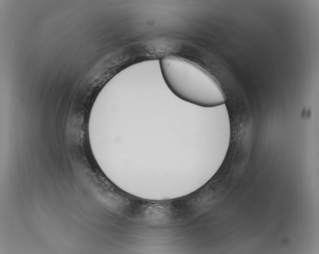 X0000110900599200907301608