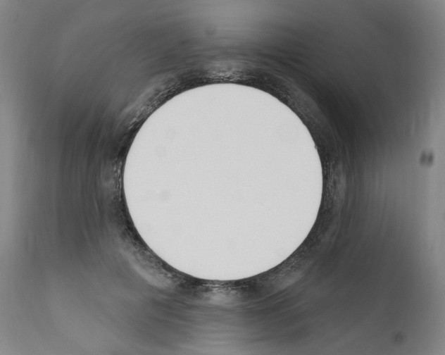 X0000110900601200907301608