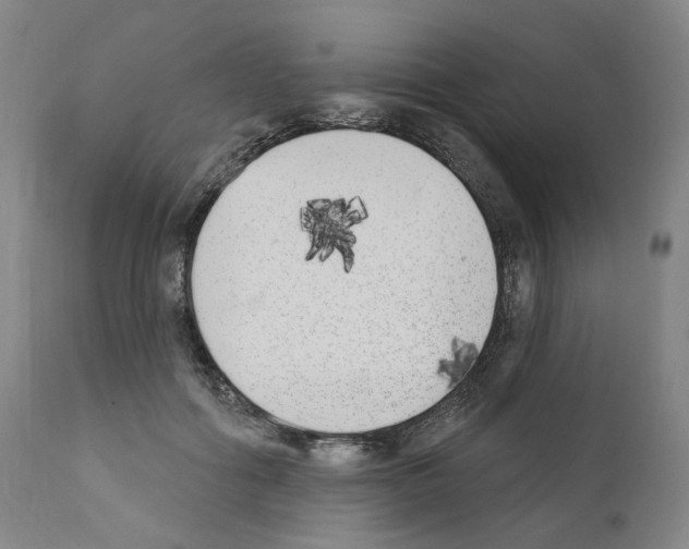 X0000110900602200907301608