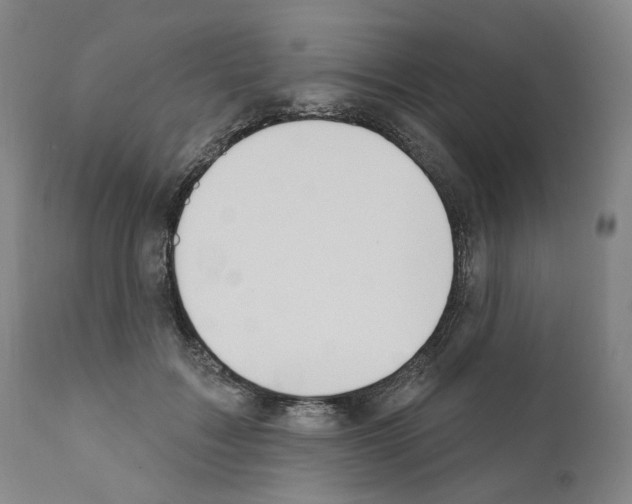 X0000110900603200907301608