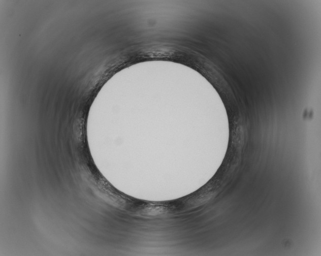 X0000110900604200907301608