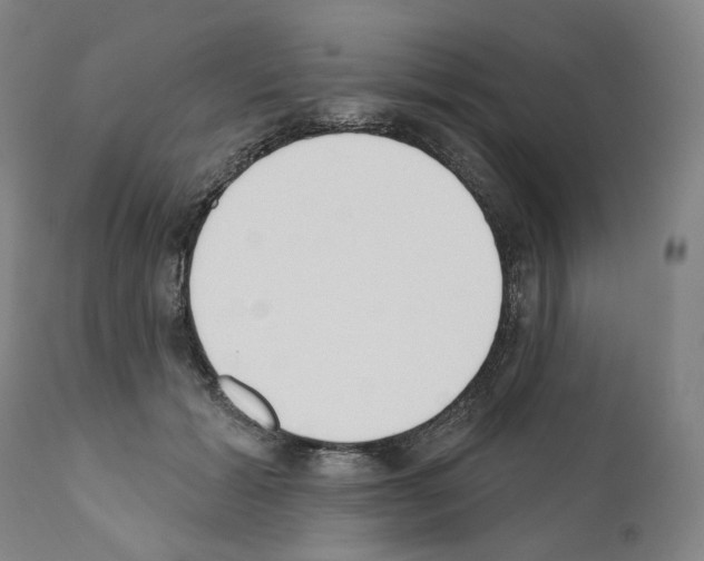 X0000110900605200907301608