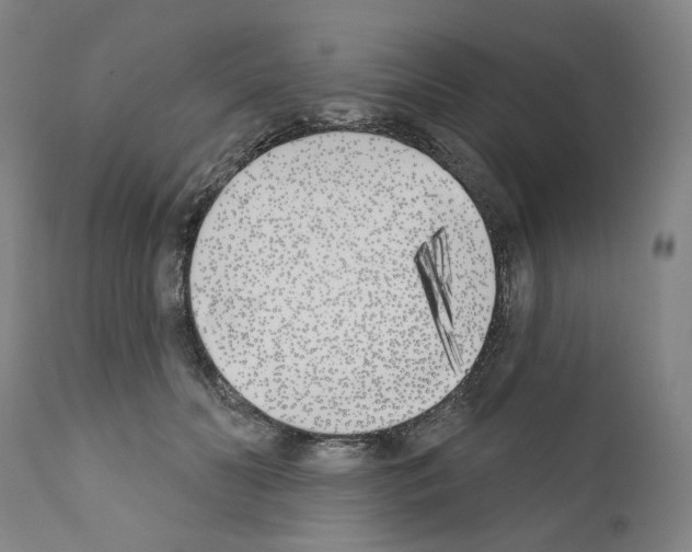 X0000110900606200907301608