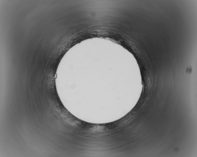 X0000110900609200907301608