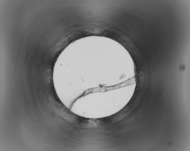 X0000110900612200907301608