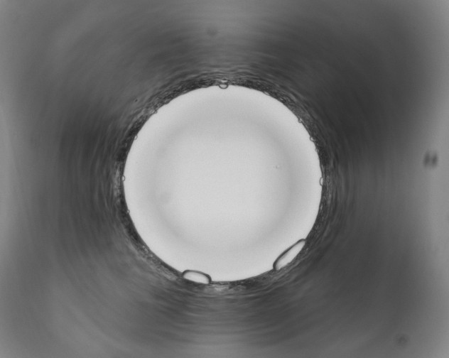 X0000110900613200907301608