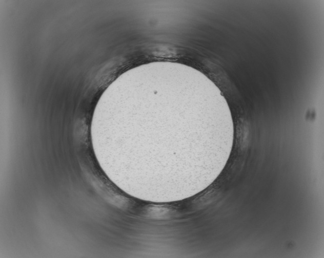 X0000110900614200907301608