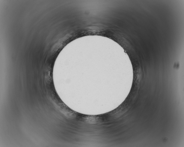 X0000110900615200907301608