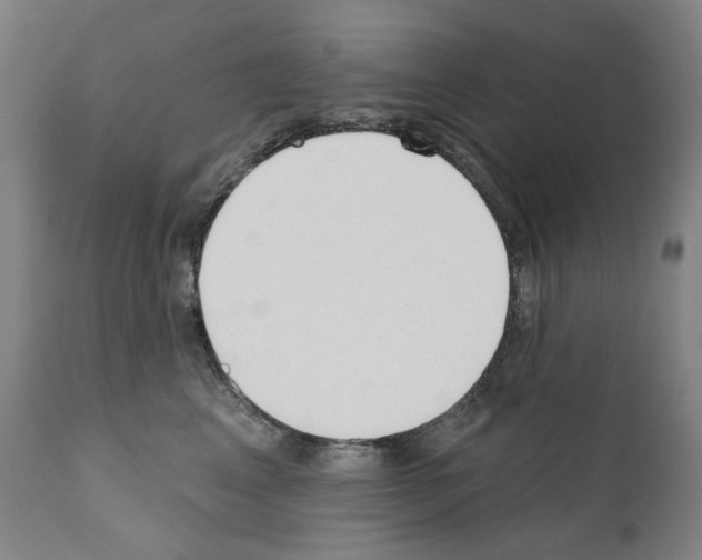 X0000110900617200907301608