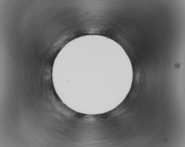 X0000110900620200907301608