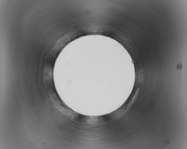 X0000110900623200907301608