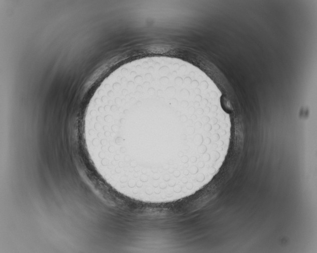 X0000110900626200907301607