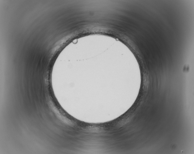 X0000110900629200907301607